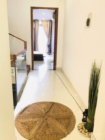 Xếp hàng 1 chục chiếc – quay đầu – tự do đỗ xe miễn phí thoải mái lộ 20m