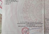 Nhà Phạm Thế Hiển P6 Q8. Hẻm 1/DT: 6,2*17,5m. SHR. Cấp 4, 3PN, không QH. Giá: 4,6tỷ.