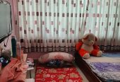 Bán nhà đẹp – Tân Hòa Đông – 03 tầng BTCT – nở hậu – 35m2 – chỉ 3.15 tỷ