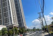 Bán nhà mặt tiền đường Đào Trí khu Khải Vy- Q7 Riverside, P.Phú Thuận,Quận 7 giá 19 tỷ