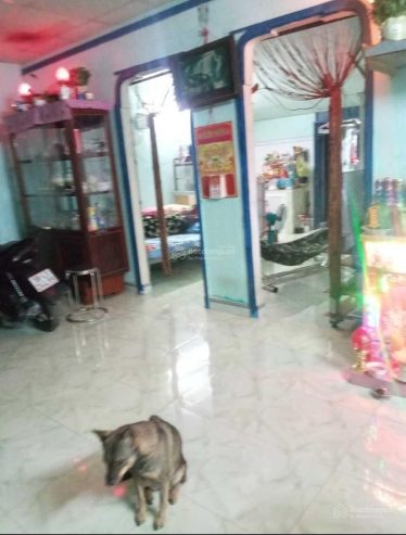 Bán nhà riêng chính chủ 7×20 tạ Ba tơ q8