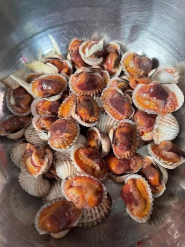 sáng e có hàng sớm .ib e chốt