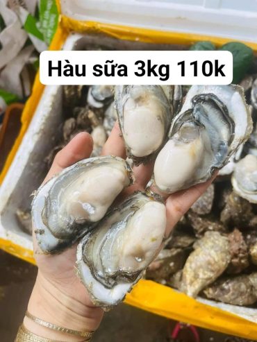 sáng e có hàng sớm .ib e chốt