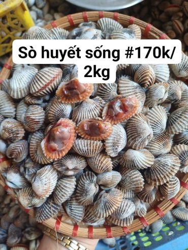 sáng e có hàng sớm .ib e chốt